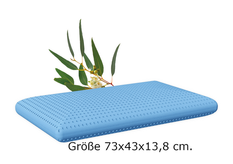 Schlaf- und Duftkissen - Eukalyptus + Gratis Baumwollüberzug - Duftkissen